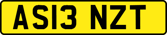 AS13NZT