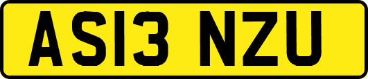 AS13NZU