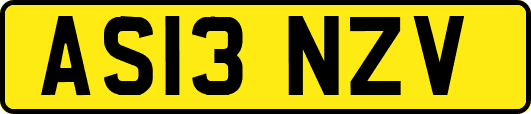 AS13NZV
