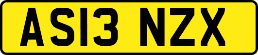 AS13NZX