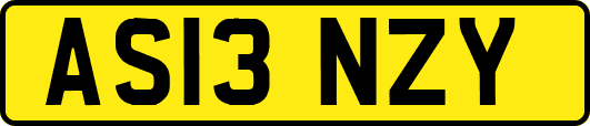 AS13NZY