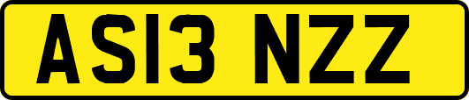 AS13NZZ