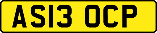AS13OCP