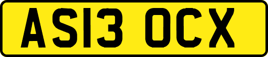 AS13OCX