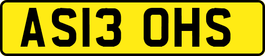 AS13OHS