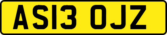 AS13OJZ