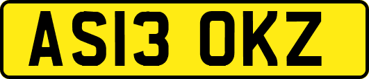 AS13OKZ