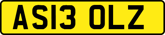 AS13OLZ