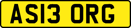 AS13ORG