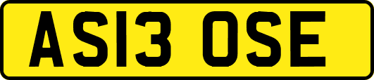 AS13OSE