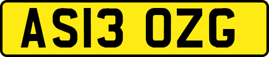 AS13OZG