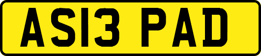 AS13PAD