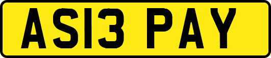 AS13PAY