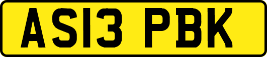 AS13PBK