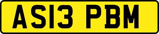 AS13PBM