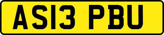 AS13PBU