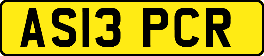 AS13PCR