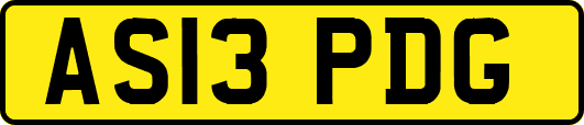 AS13PDG