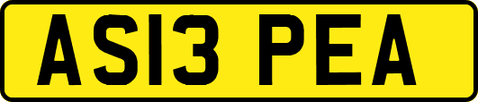 AS13PEA