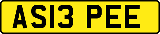 AS13PEE