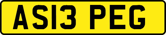AS13PEG