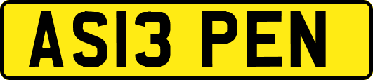 AS13PEN