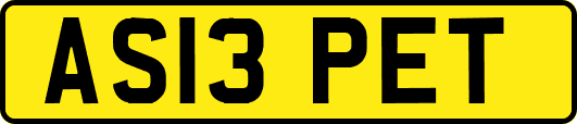 AS13PET