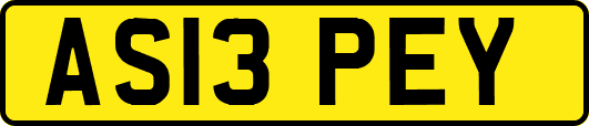 AS13PEY