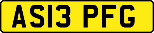 AS13PFG