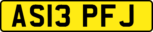 AS13PFJ