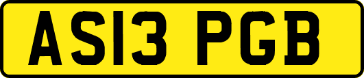 AS13PGB