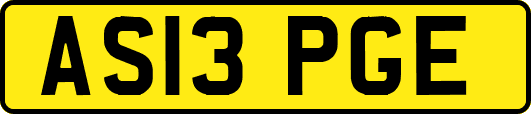 AS13PGE