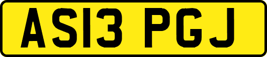 AS13PGJ