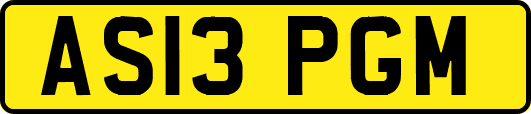 AS13PGM