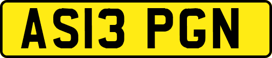 AS13PGN