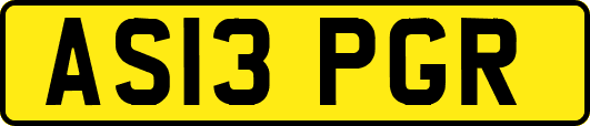AS13PGR