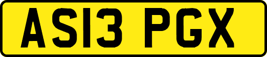 AS13PGX