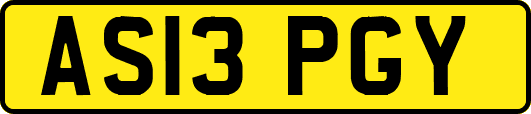 AS13PGY