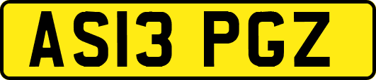 AS13PGZ