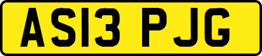 AS13PJG