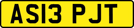 AS13PJT