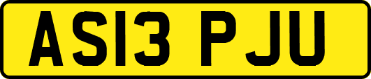 AS13PJU