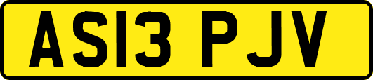 AS13PJV