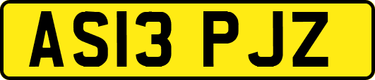 AS13PJZ