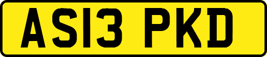 AS13PKD
