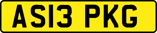 AS13PKG