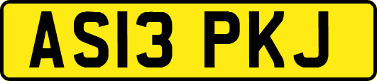 AS13PKJ