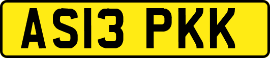 AS13PKK