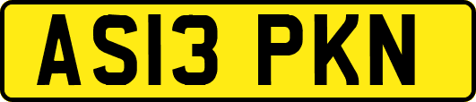 AS13PKN