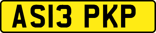 AS13PKP